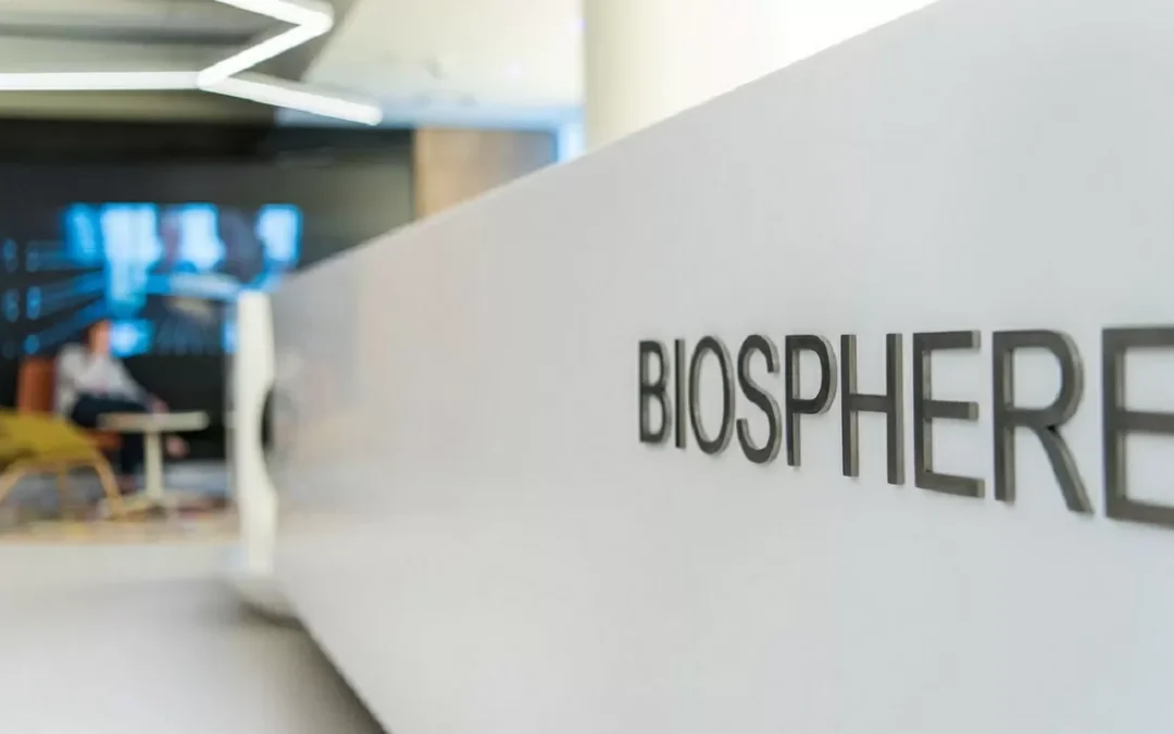 WMS system in the warehouse of the manufacturer and distributor of FMCG goods for household and hygienic purposes of the Corporation “Biosphere”